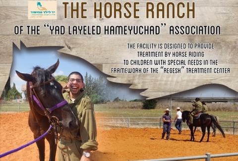 Horse-Ranch